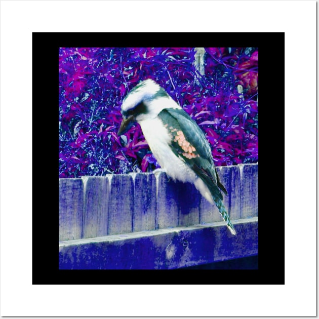 The Inverted Colours of the Kookaburra Wall Art by Mickangelhere1